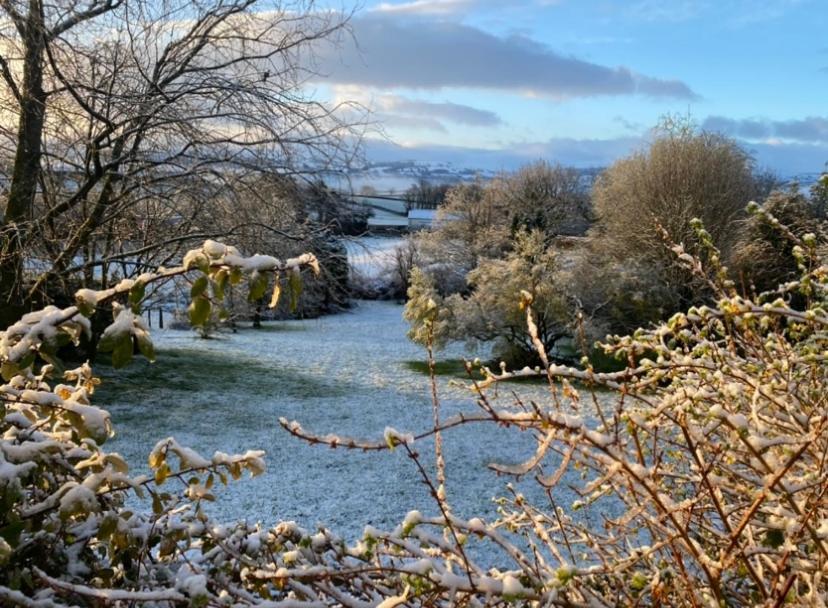 Pippin Lodge Llanwrda Экстерьер фото
