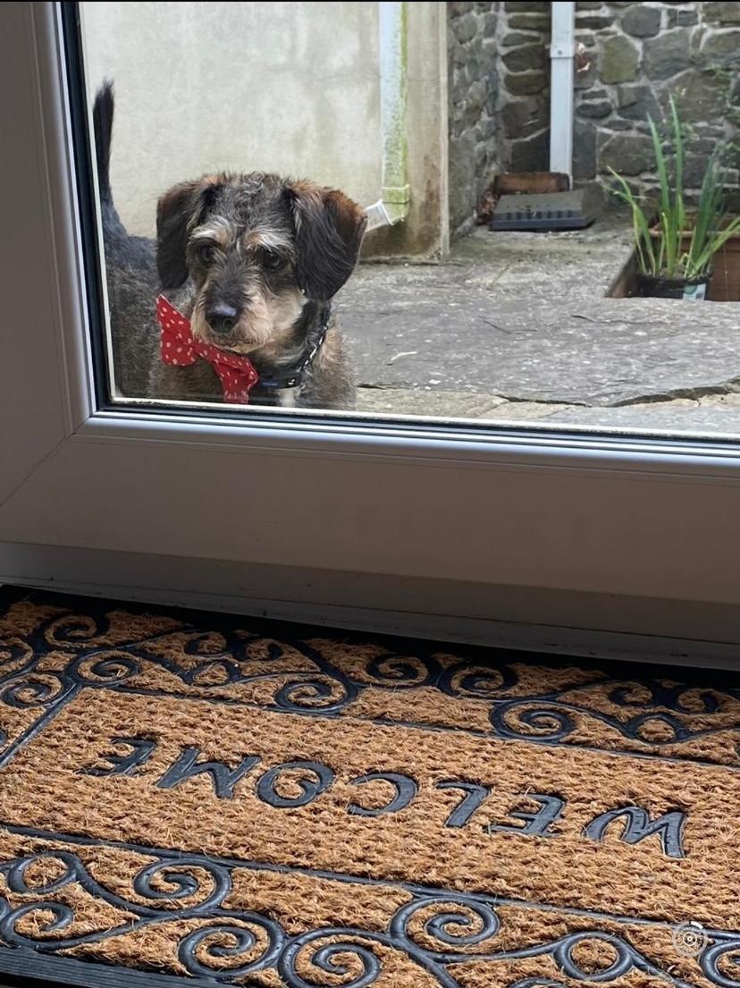 Pippin Lodge Llanwrda Экстерьер фото
