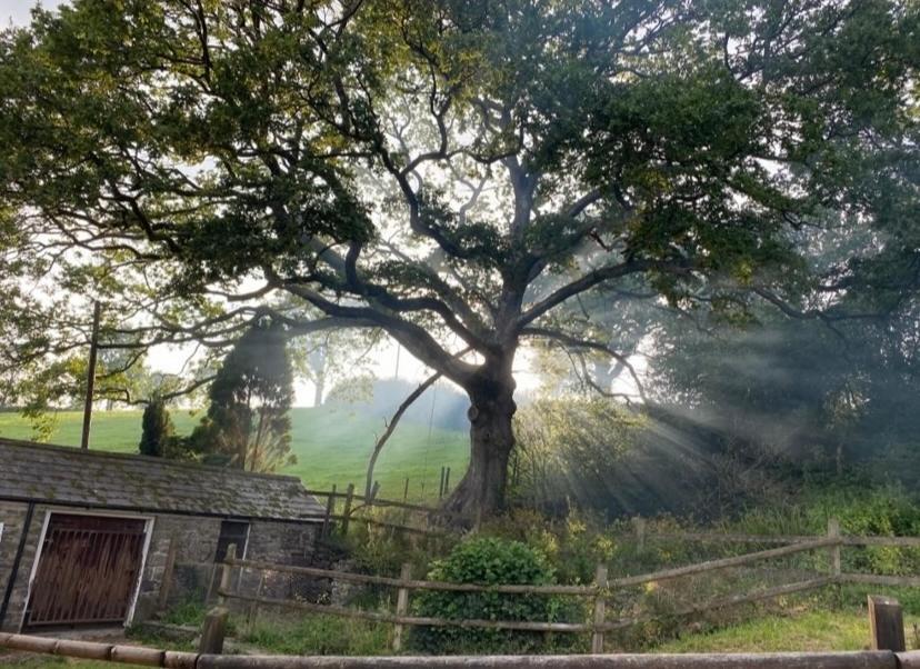 Pippin Lodge Llanwrda Экстерьер фото