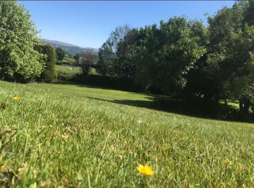 Pippin Lodge Llanwrda Экстерьер фото